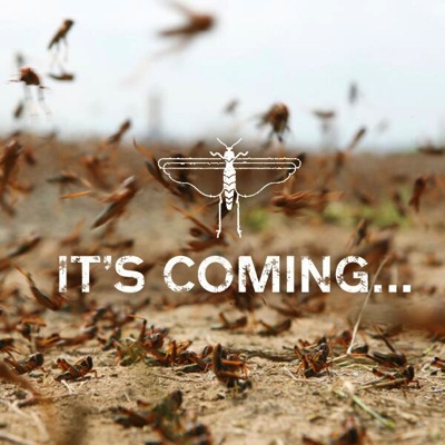 BfLyX9JCQAA1Mx1 jpg large